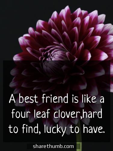 we three friends quotes